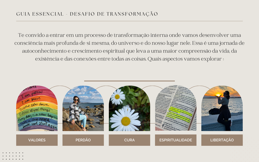 Sobre o Ebook